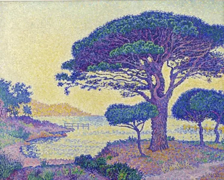 Saint-Tropez, os pinheiros de guarda-sol nos Canoubiers - Paul Signac
