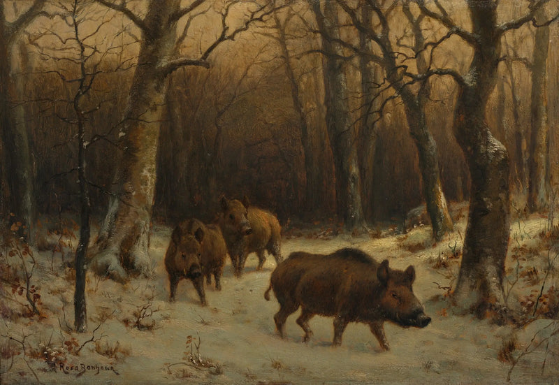 Javali na neve - Rosa Bonheur