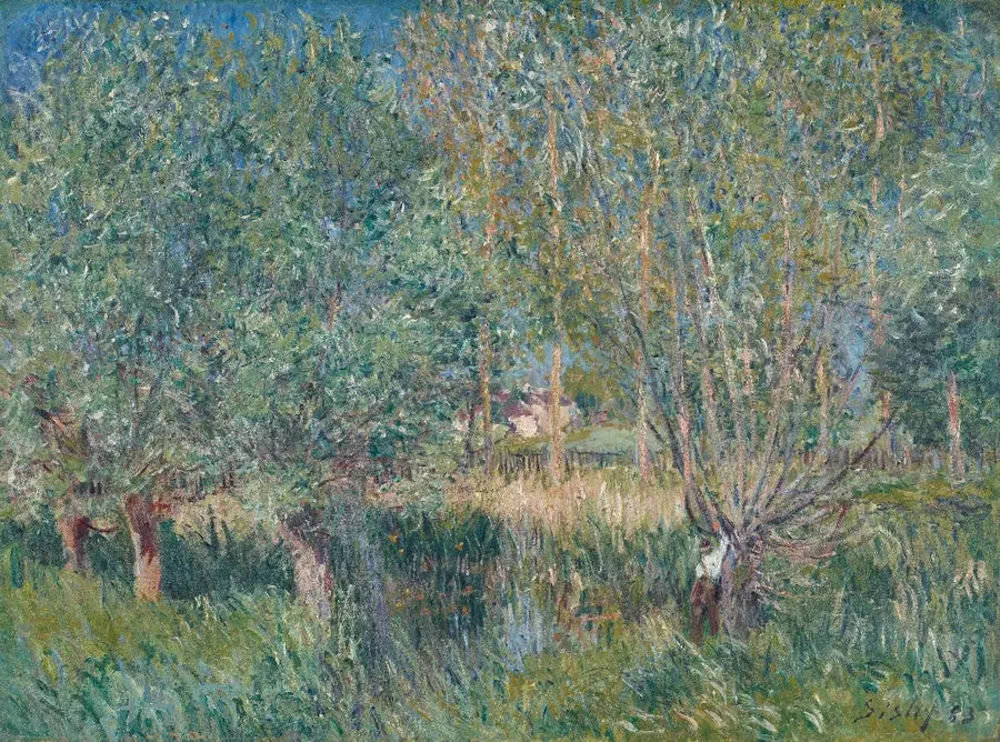 Salgueiros à Beira do Orvanne - Alfred Sisley