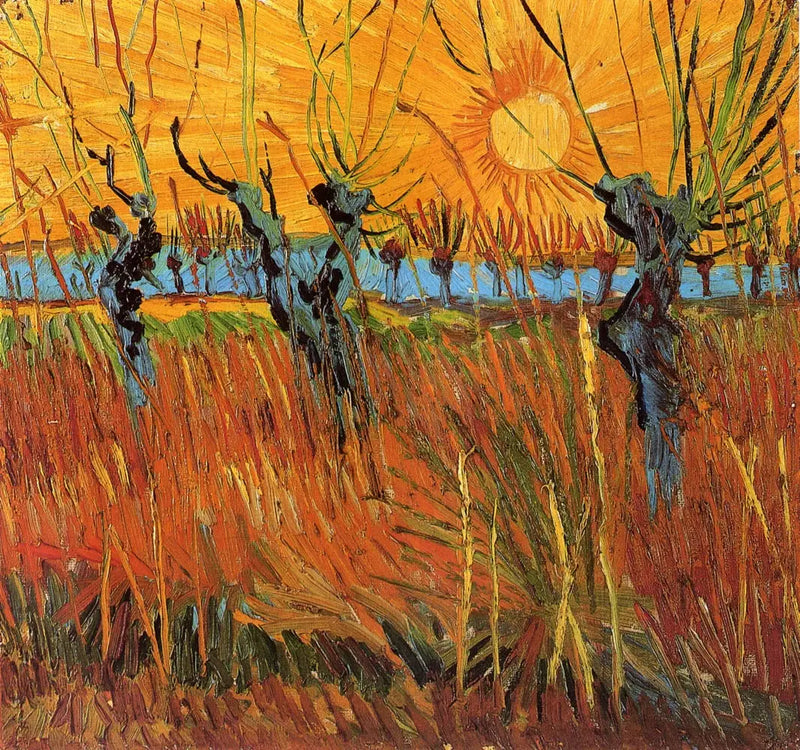Salgueiros ao pôr do sol - Vincent van Gogh