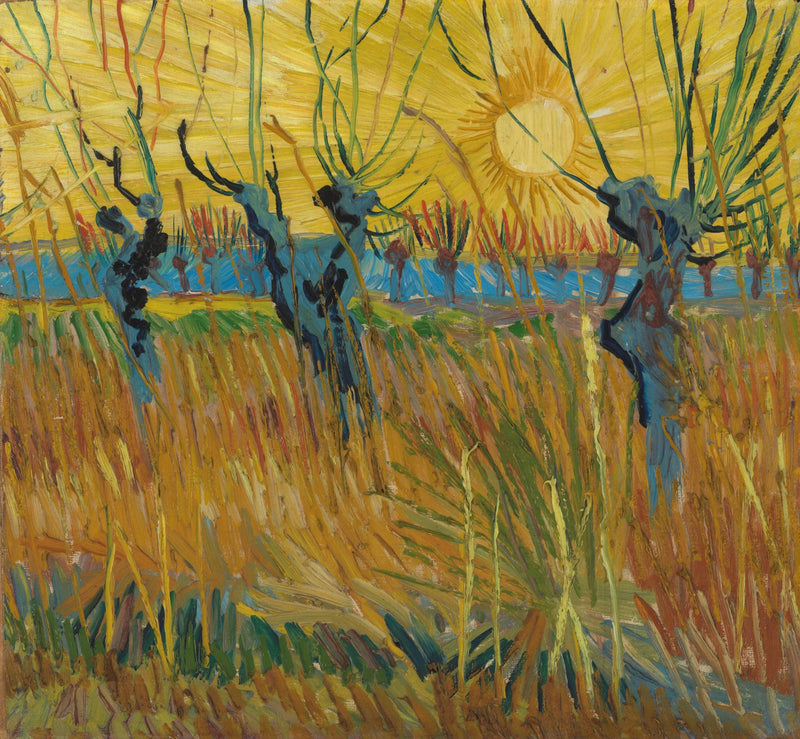 Salgueiros ao pôr do sol - Vincent van Gogh