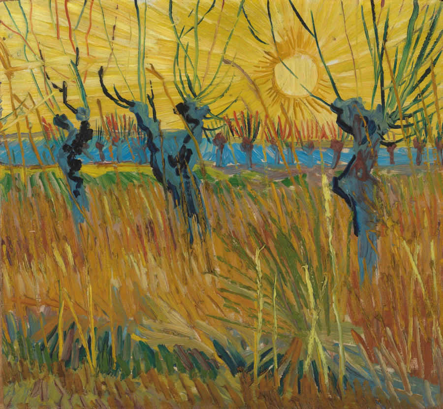 Salgueiros ao pôr do sol - Vincent van Gogh