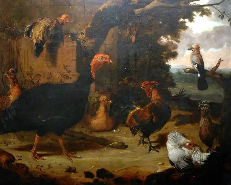 Cena de fazenda, o peru preto - Melchior de Hondecoeter