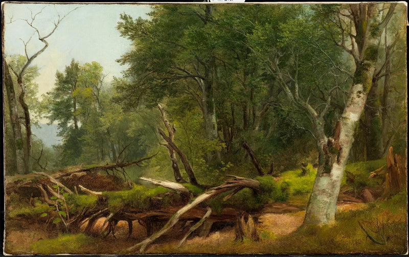Cena de floresta nos Catskills - Asher Brown Durand