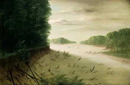 Cena do Baixo Mississippi - George Catlin