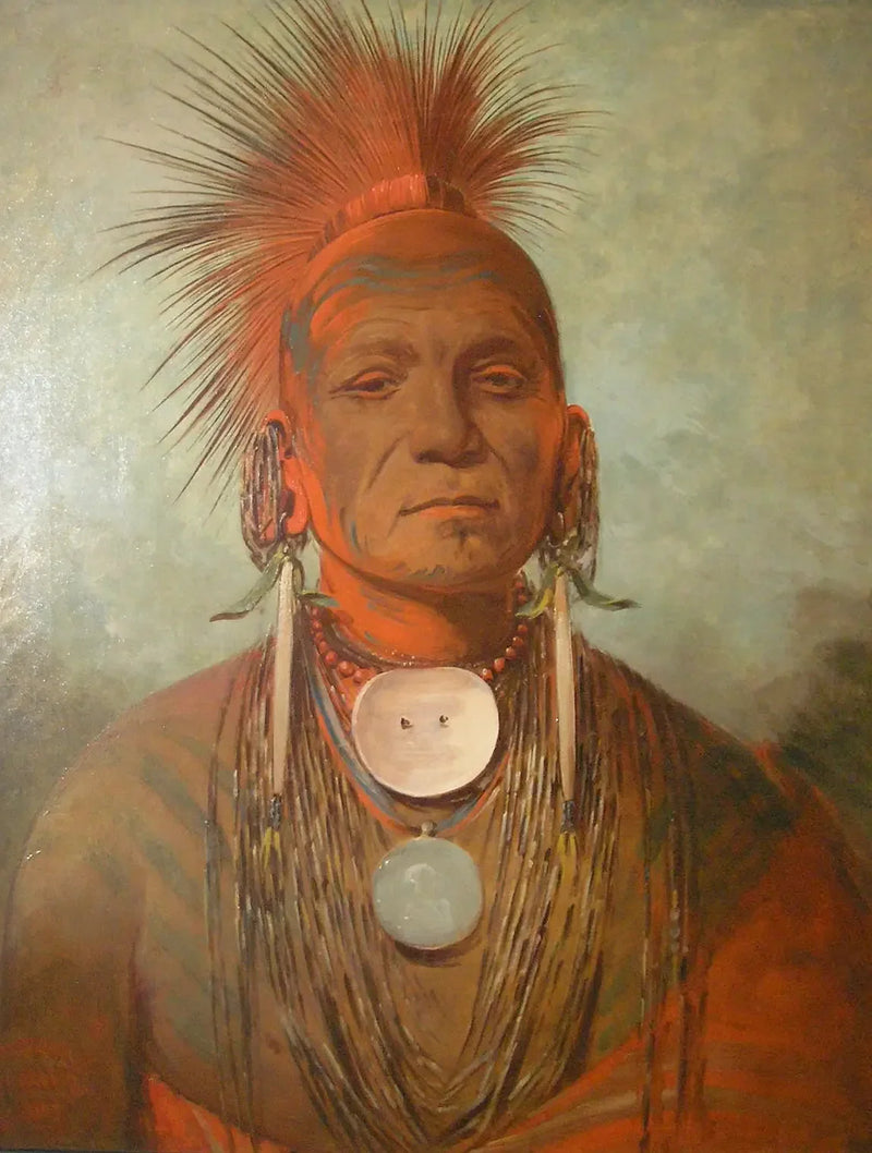 See-non-ty-a, um curandeiro de Iowa - George Catlin
