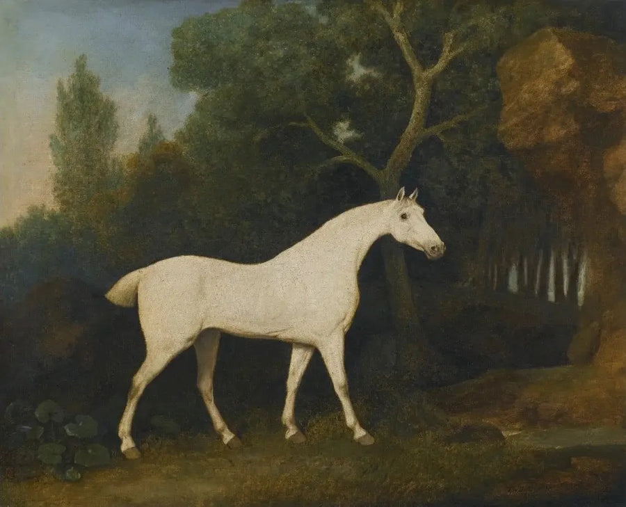 Selim, um caçador cinza em um cercado - George Stubbs