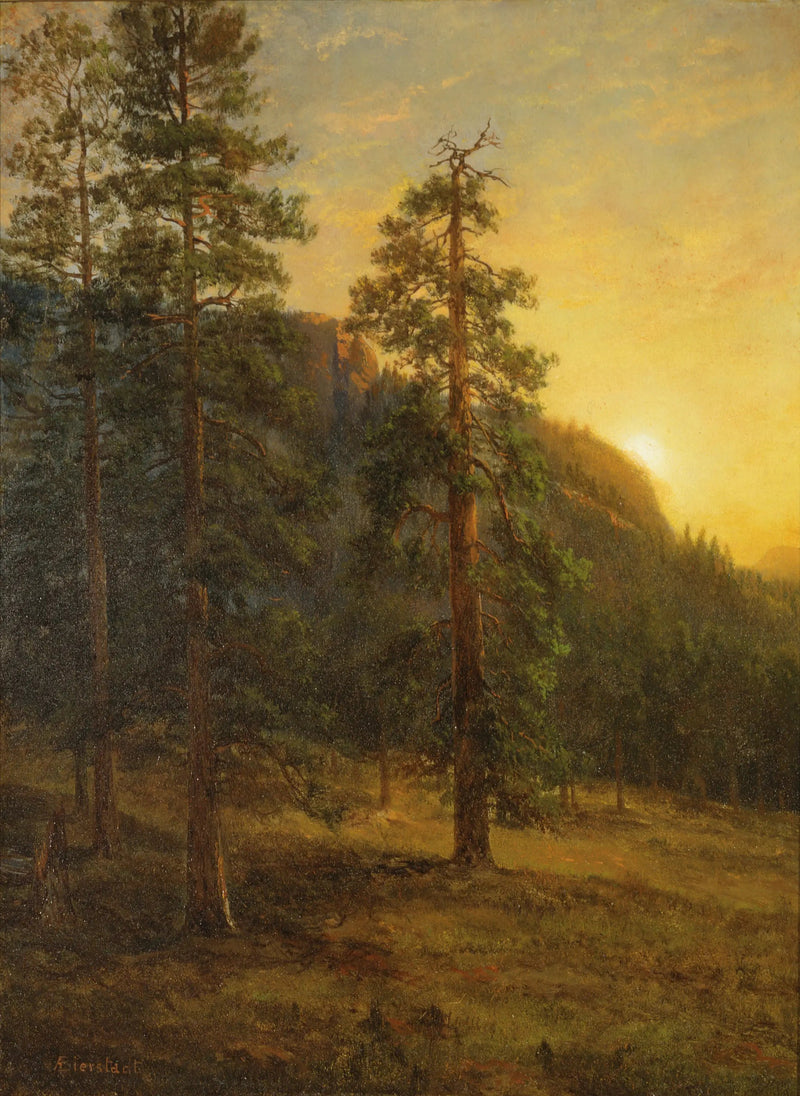 Sequoias da Califórnia - Albert Bierstadt
