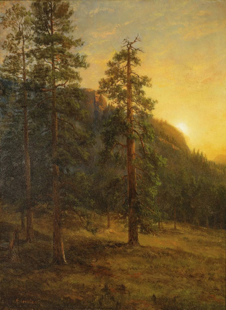 Sequoias da Califórnia - Albert Bierstadt