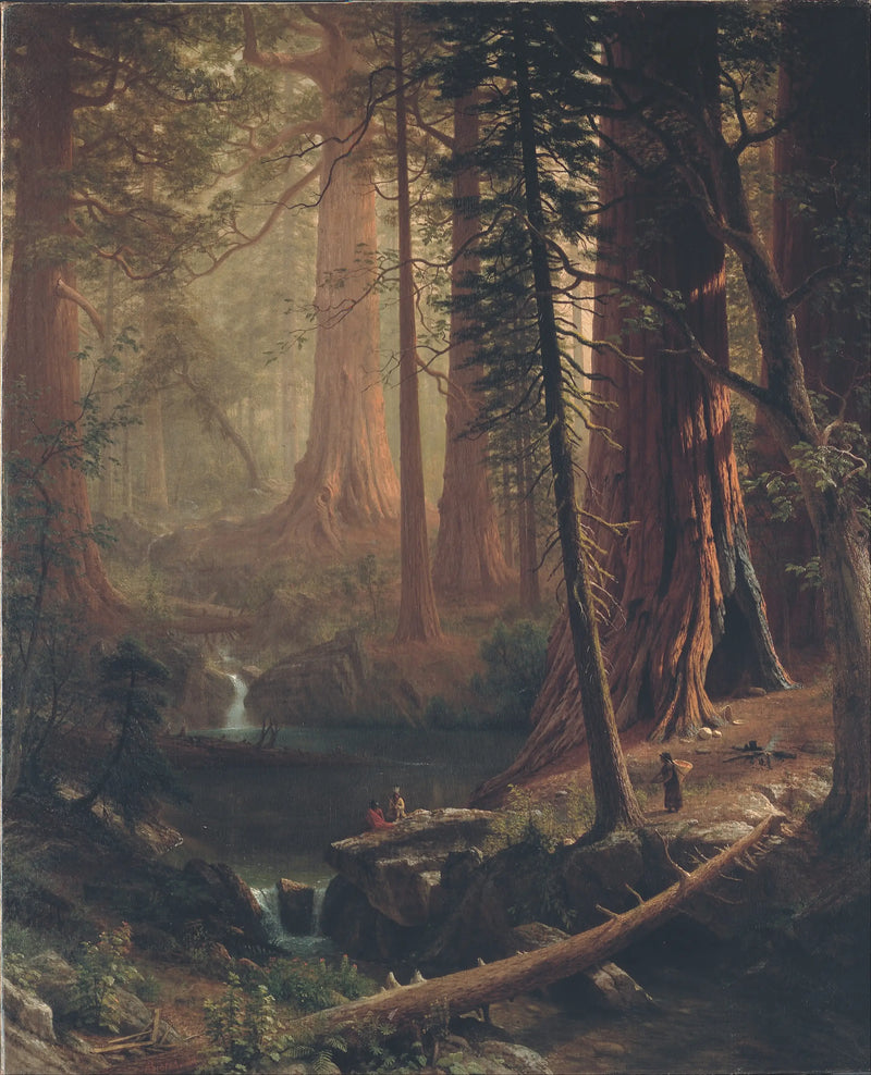 Sequóias Gigantes da Califórnia - Albert Bierstadt