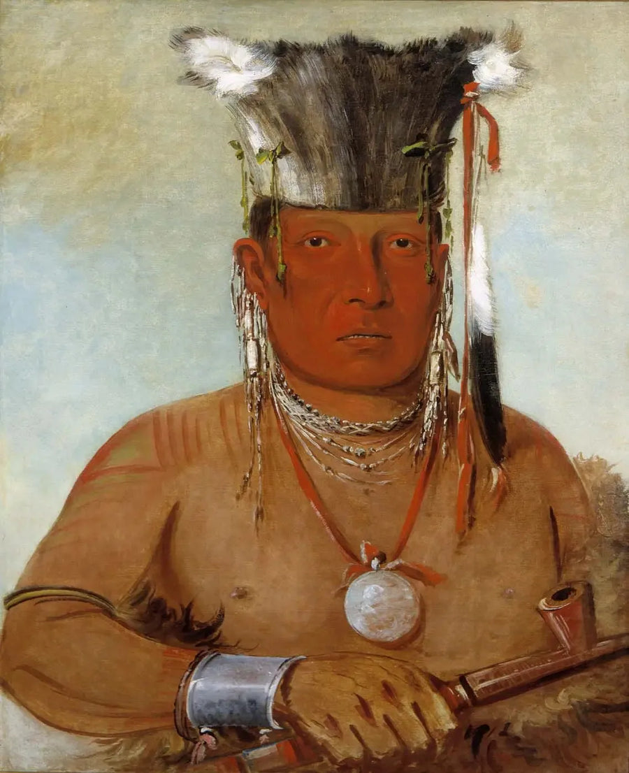 Sháw-da-mon-nee, aqui está ele, um bravo - George Catlin