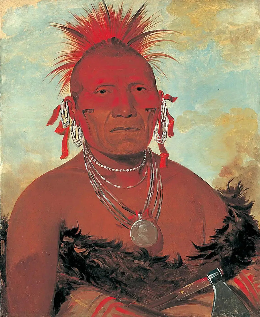 Shón-ka-ki-he-ga, chefe de cavalo, grande chefe Pawnee - George Catlin