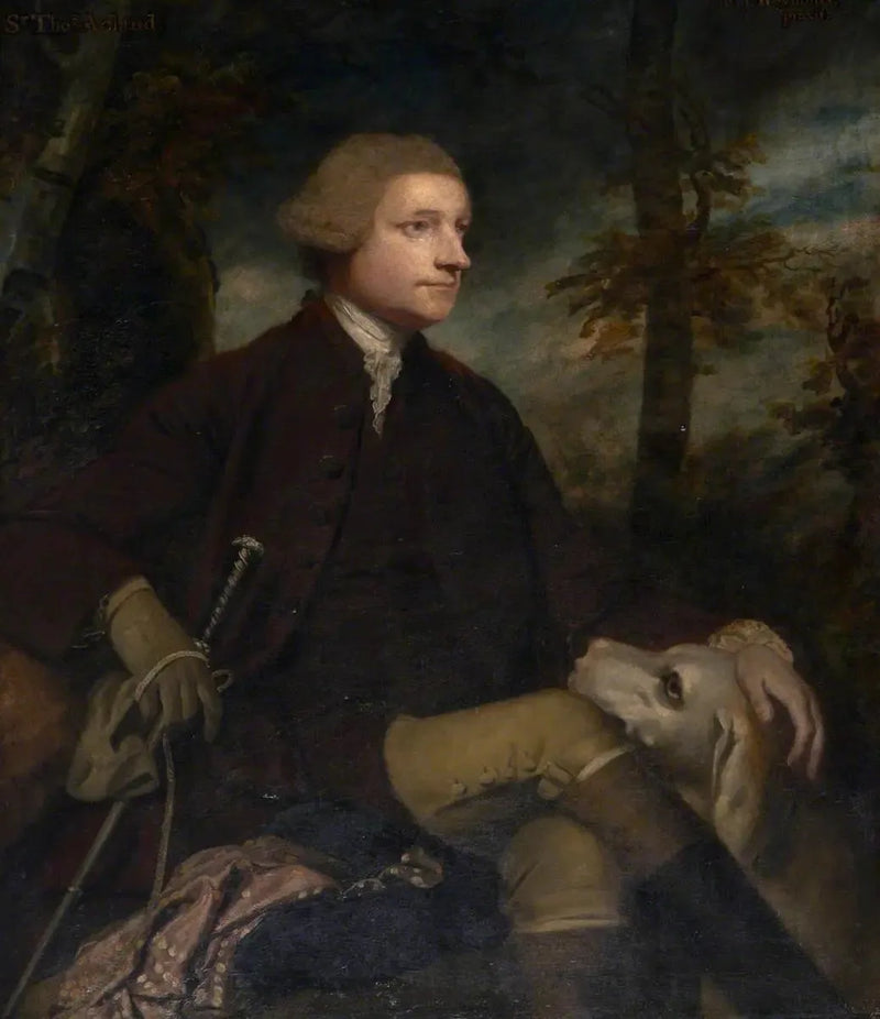 Sir Thomas Dyke Acland, 3º/7º baronete Acland de Columb-John deputado (1722-1785) - Joshua Reynolds