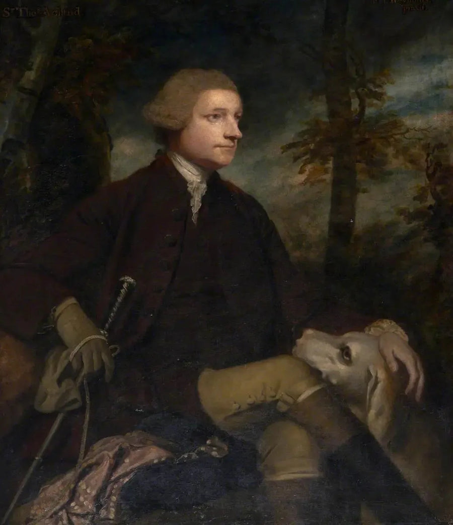 Sir Thomas Dyke Acland, 3º/7º baronete Acland de Columb-John deputado (1722-1785) - Joshua Reynolds