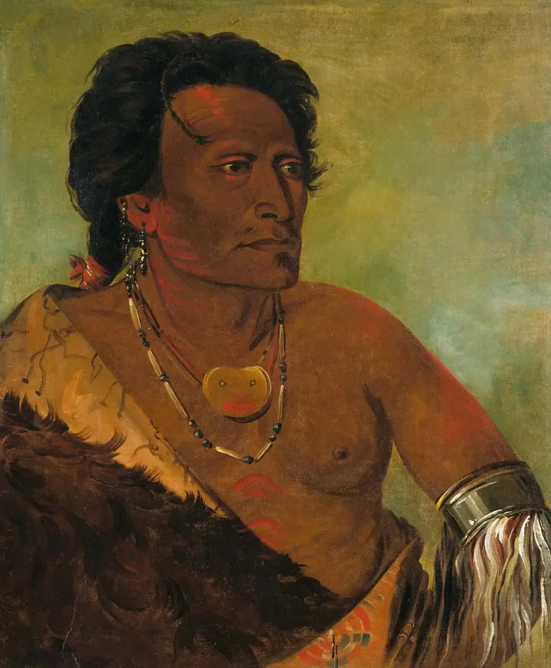 Sky-se-ró-ka, segundo chefe da tribo - George Catlin