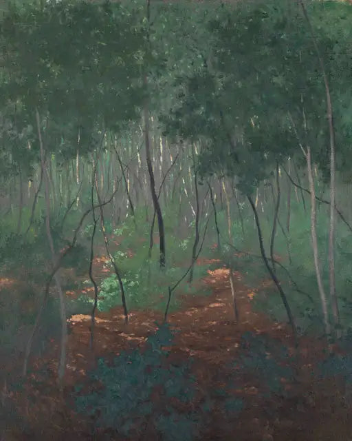 Sub-bosque, árvores leves - Félix Vallotton