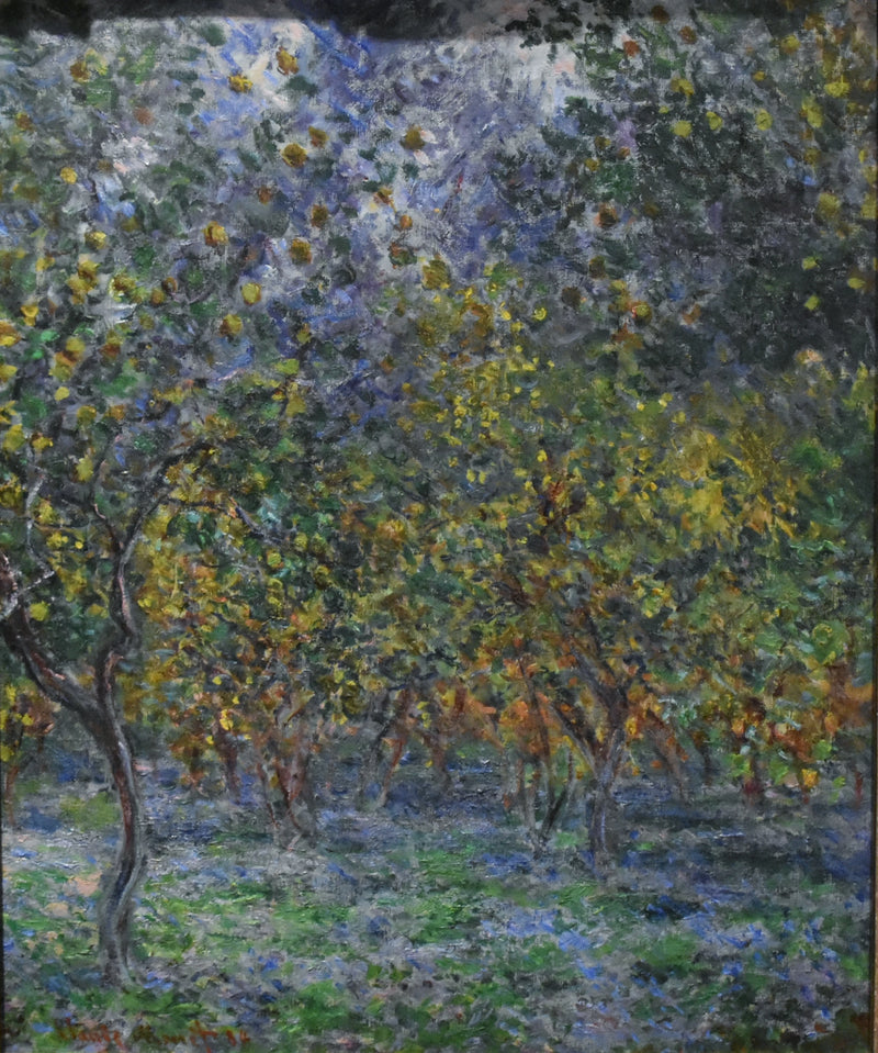 Sob os limoeiros W873 - Claude Monet