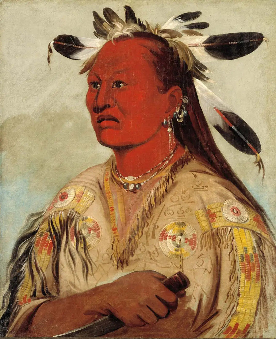 Stán-au-pat, Bloody Hand, chefe da tribo - George Catlin