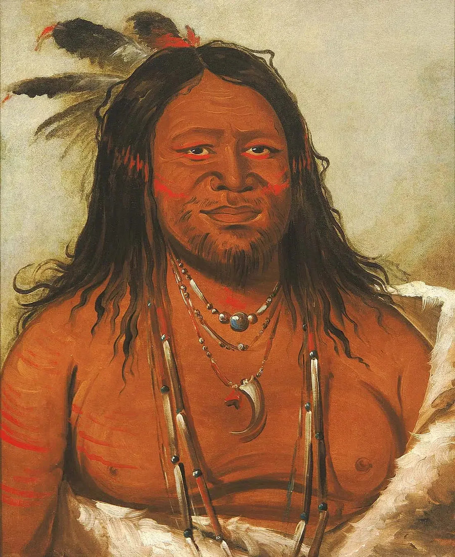 Ta-wáh-que-nah, Montanha das Rochas, Segundo Chefe da Tribo - George Catlin