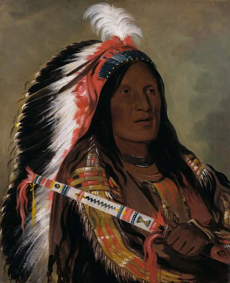 Táh-téck-a-da-háir, Vent raide, um bravo do grupo Bad Arrow Points - George Catlin