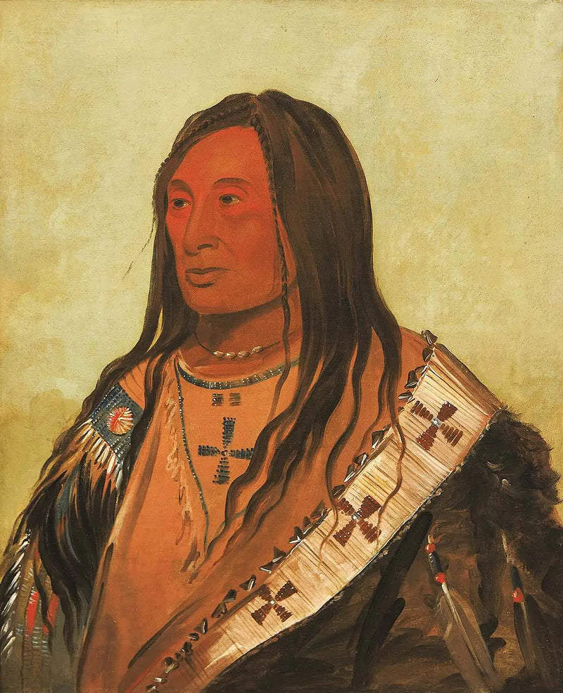 Táh-zee-keh-dá-cha, Ventre rasgado, um cavalheiro distinto - George Catlin