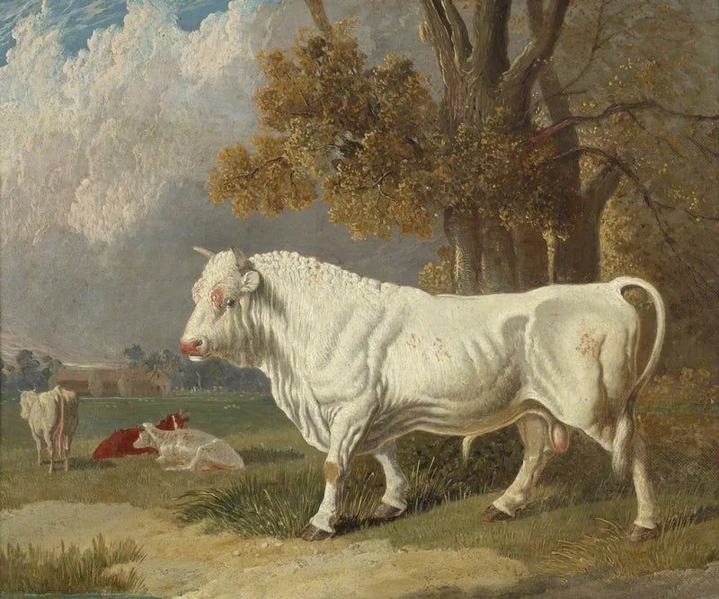 Touro branco, Fulbourn, Cambridgeshire, 1830 - John Frederick Herring, Sr.