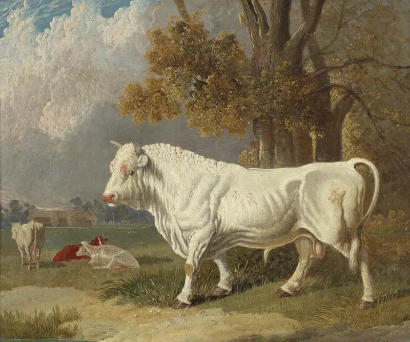 Touro branco, Fulbourn, Cambridgeshire, 1830 - John Frederick Herring, Sr.