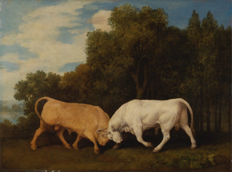 Touro - George Stubbs