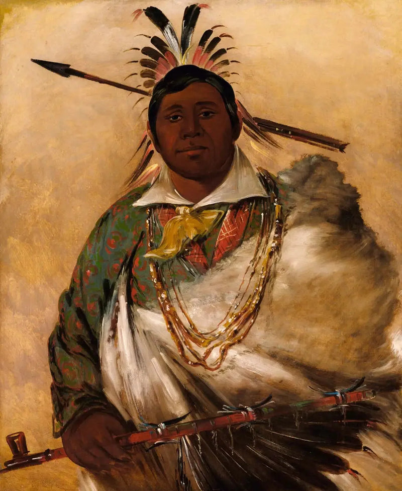 Téh-ke-néh-kee, casaco preto, um chefe - George Catlin