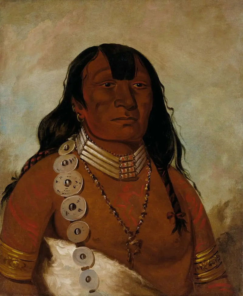 Téh-tóot-sah (mais conhecido como Tohausen, Little Bluff), chefe principal - George Catlin
