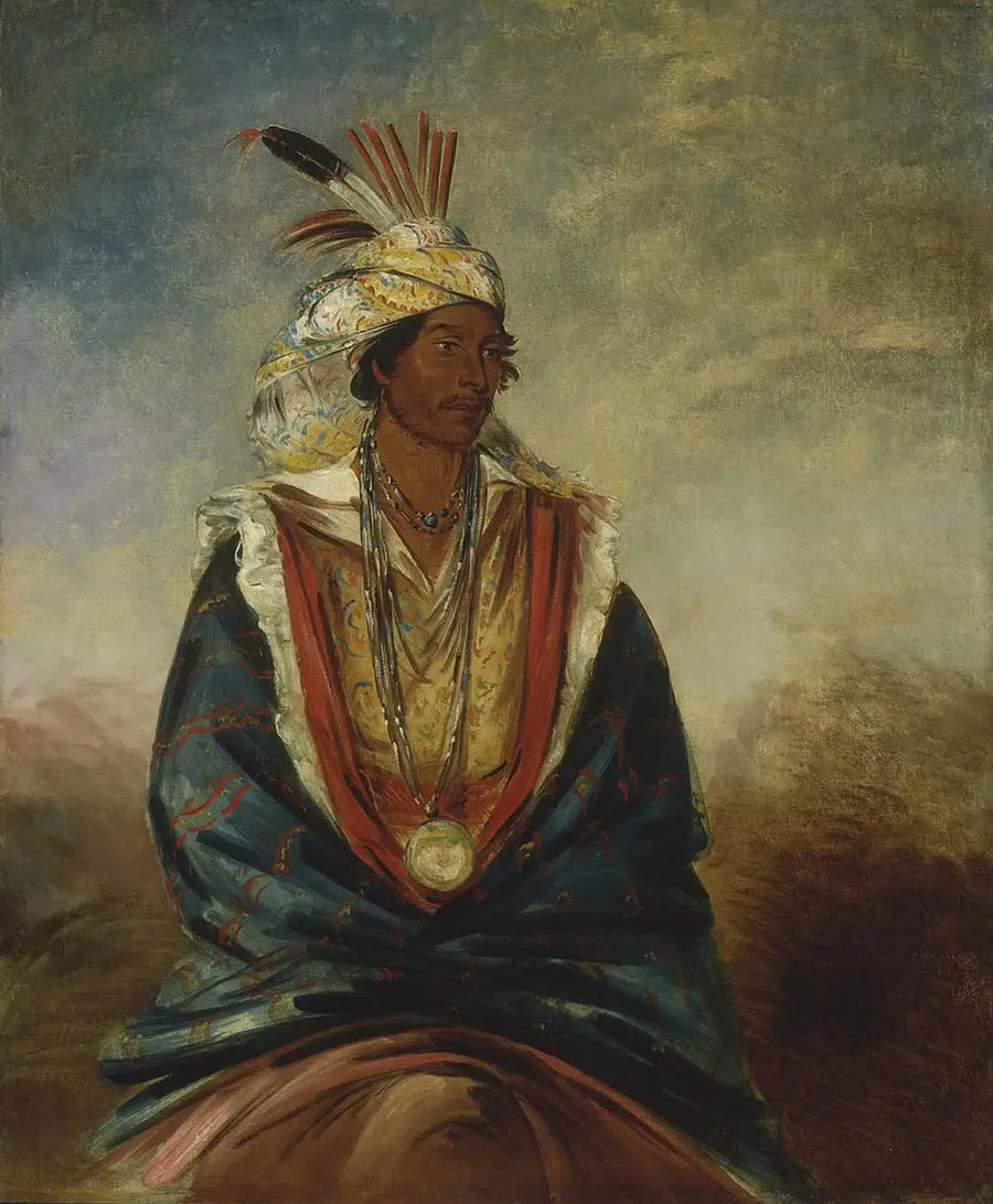 Tel-maz-há-za, um guerreiro de distinção - George Catlin