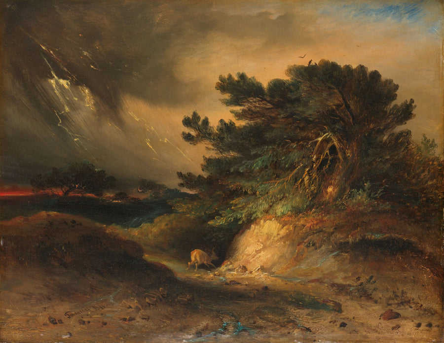 La tempête - Johannes Tavenraat