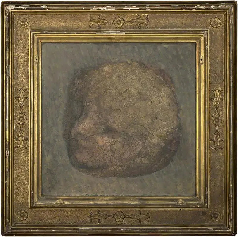 Cabeça de anjo - Antonio da Correggio