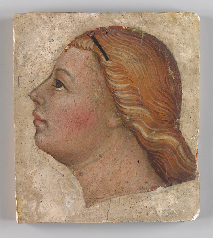 Cabeça de anjo de perfil esquerdo - Taddeo di Bartolo