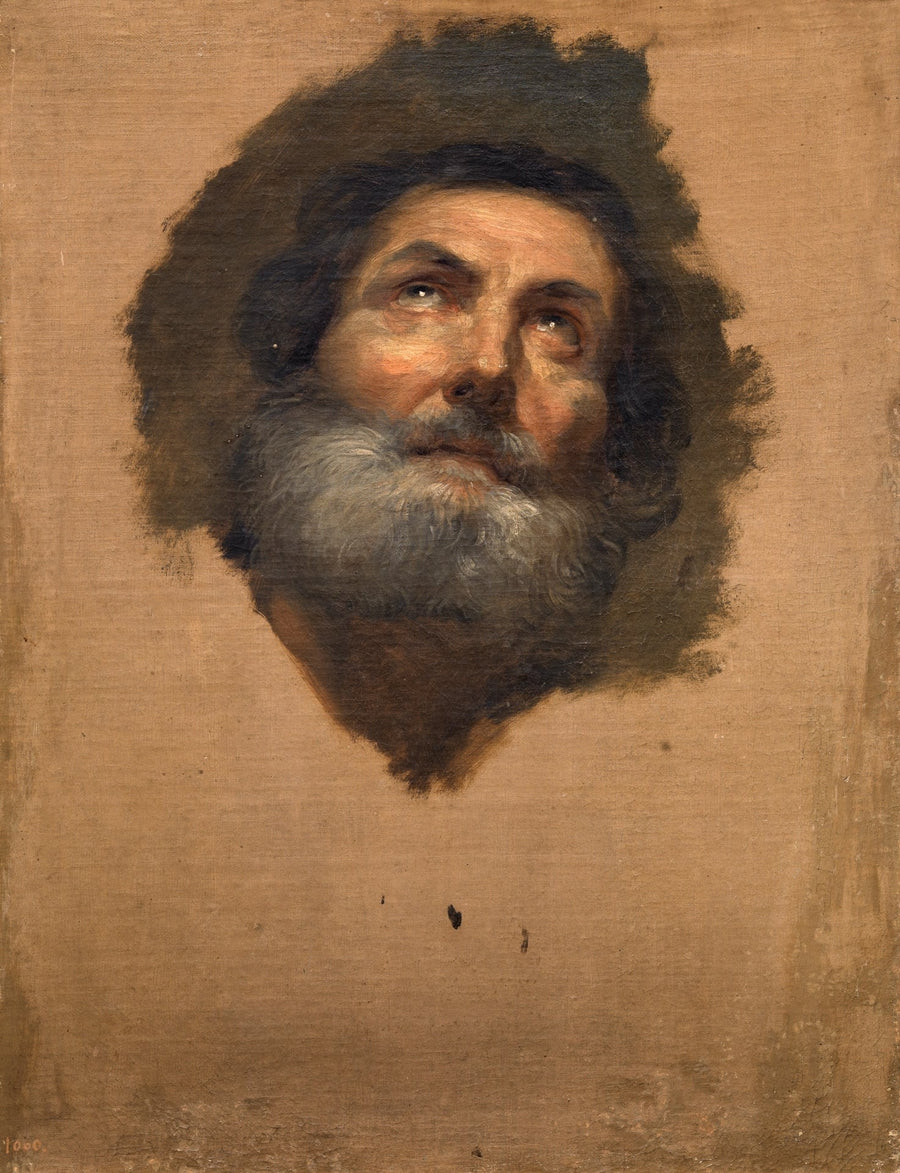 Cabeça de Apóstolo (Museu do Prado, inv P02202) - Anton Raphael Mengs