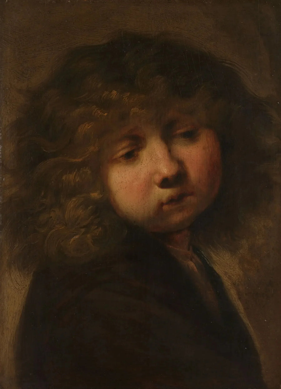 Cabeça de um menino - Rembrandt