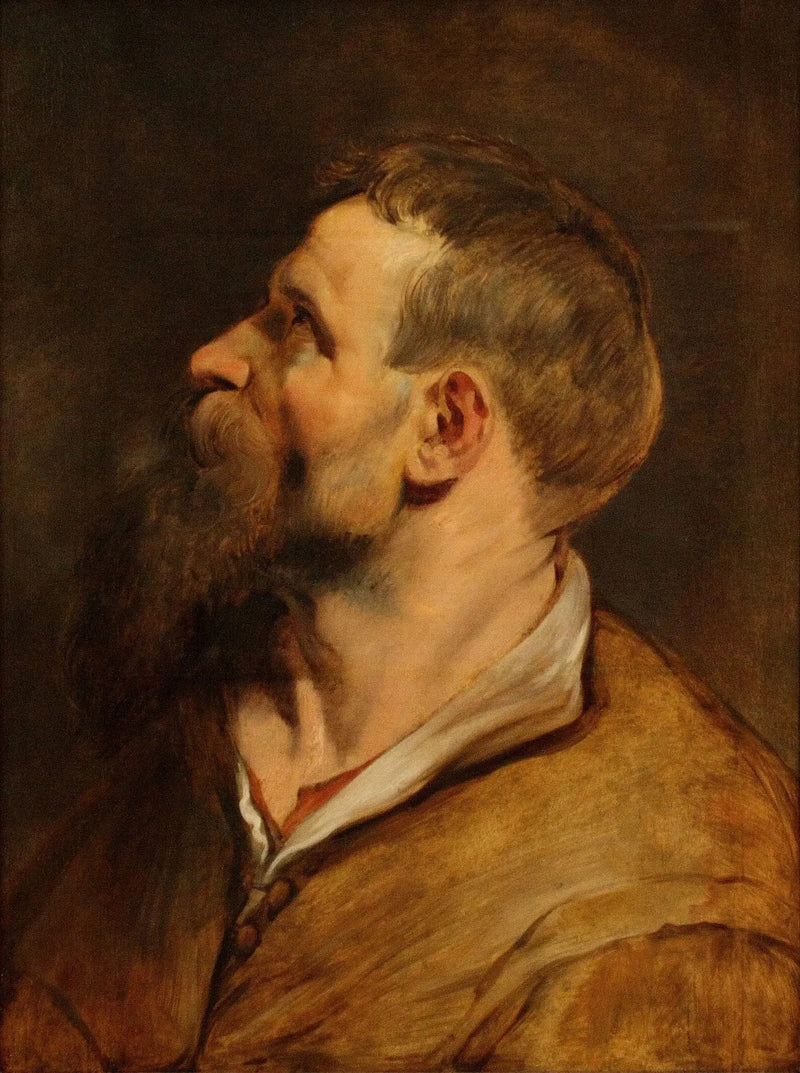 Cabeça de um homem barbudo olhando para a esquerda - Peter Paul Rubens