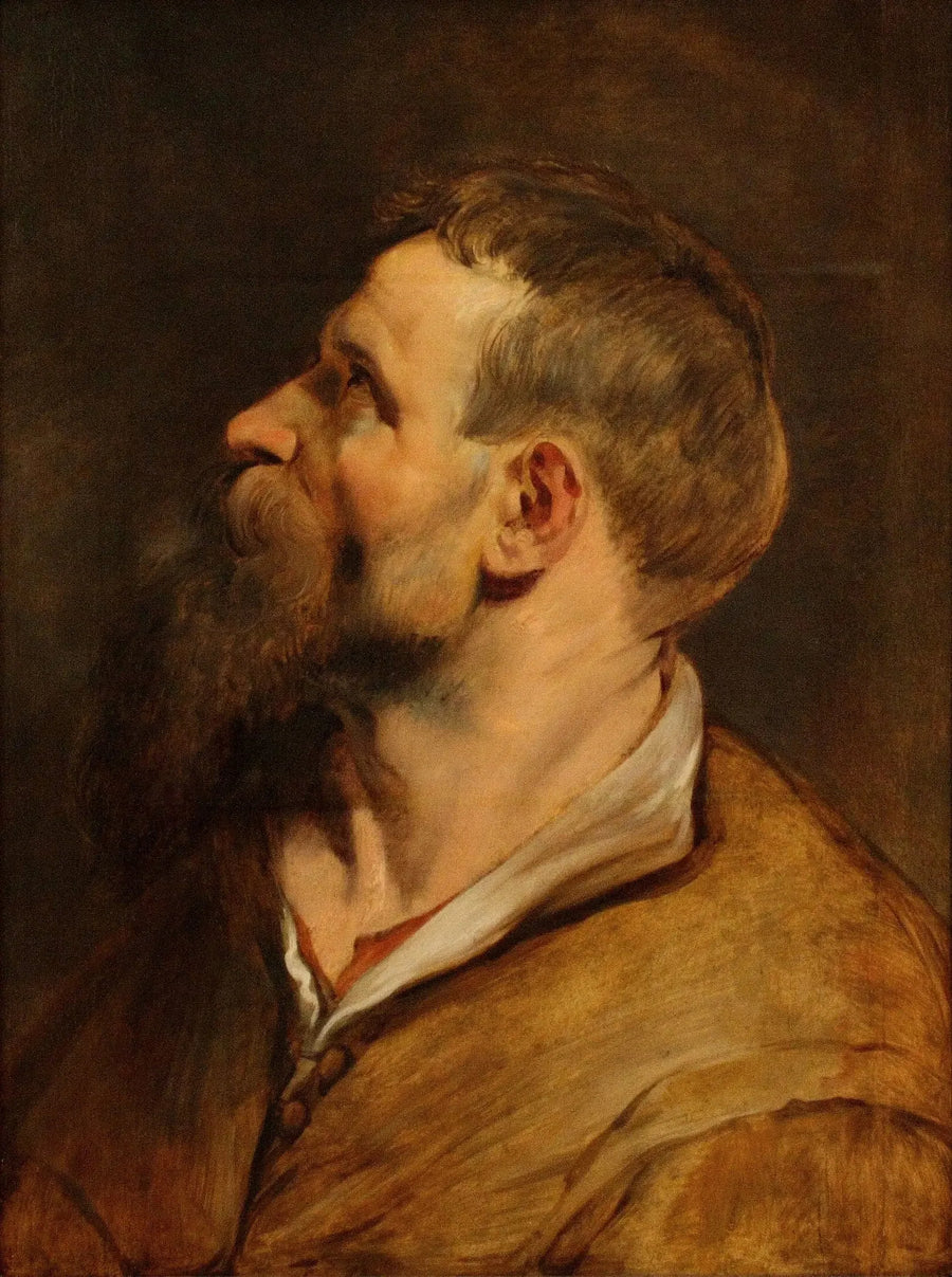 Cabeça de um homem barbudo olhando para a esquerda - Peter Paul Rubens
