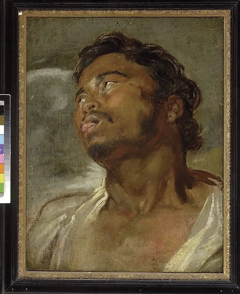 Cabeça de um homem negro - Antoine van Dyck
