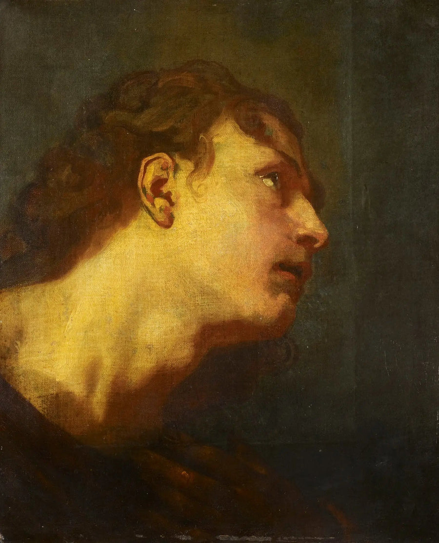 Cabeça de um jovem homem - Antoine van Dyck