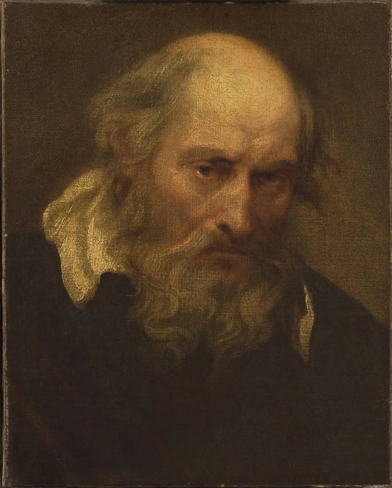 Cabeça de um homem idoso - Antoine van Dyck