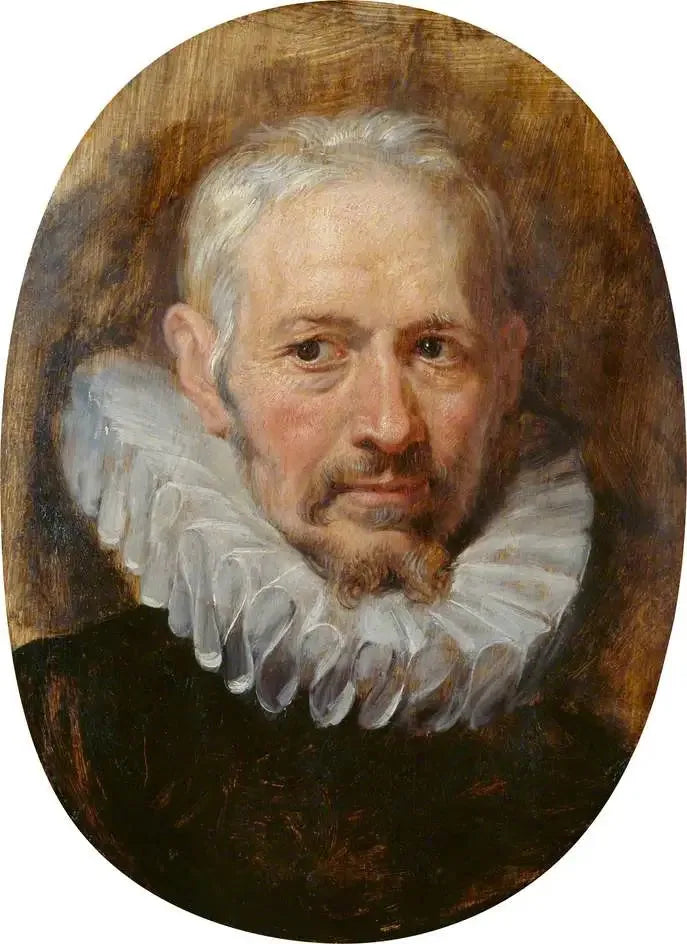 Cabeça de um homem idoso - Peter Paul Rubens