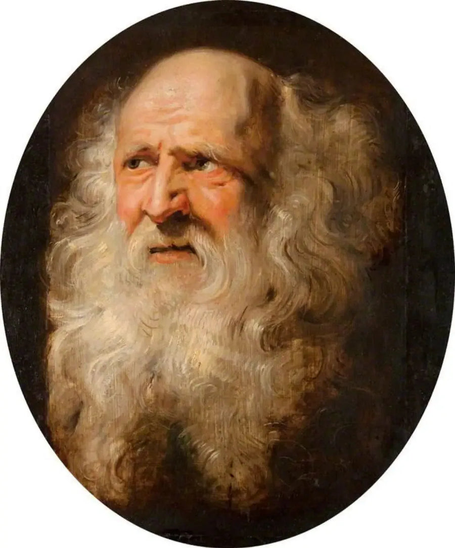 Cabeça de um homem idoso - Peter Paul Rubens