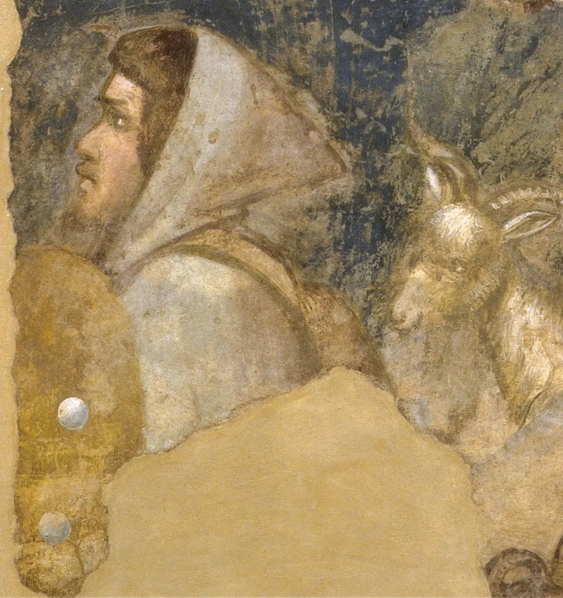 Cabeça de pastor - Giotto