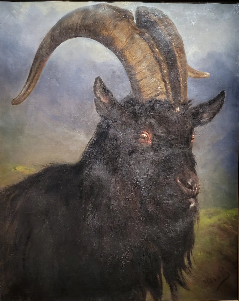 Cabeça de bode - Rosa Bonheur