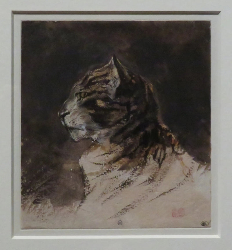 Cabeça de gato - Eugène Delacroix