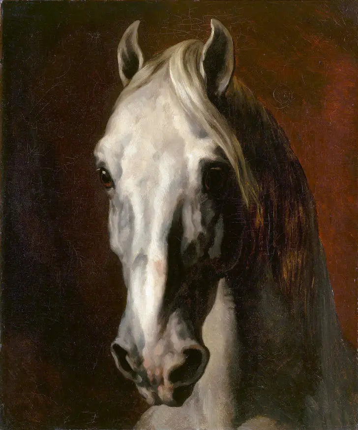 Cabeça de cavalo branco - Théodore Géricault
