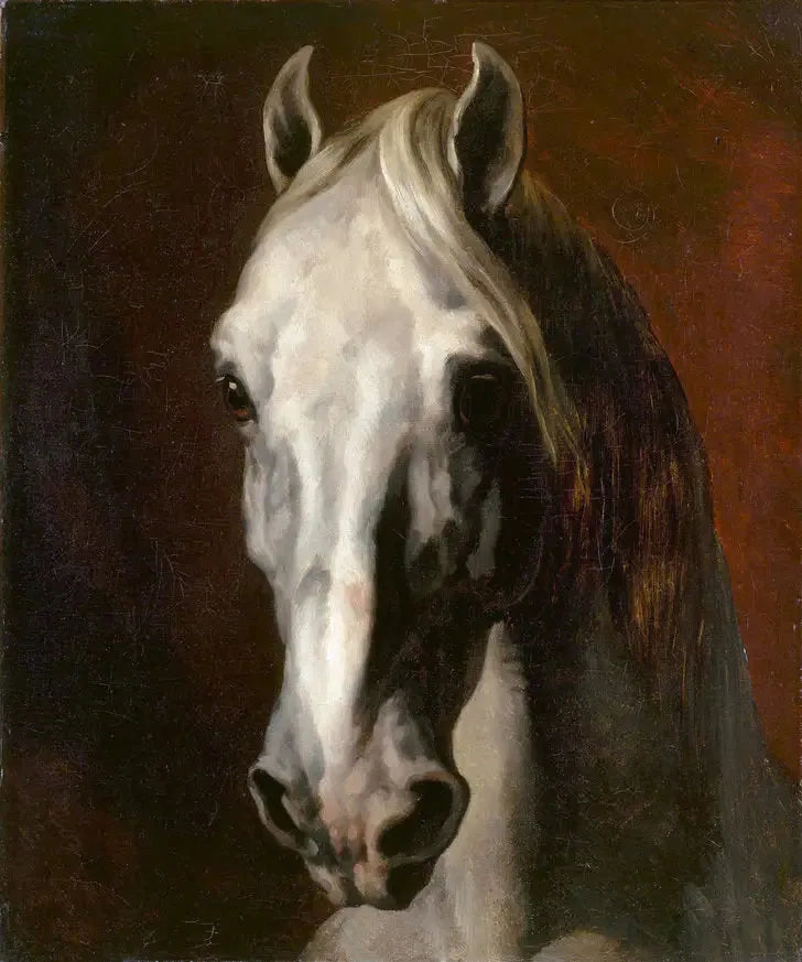 Cabeça de cavalo branco - Théodore Géricault
