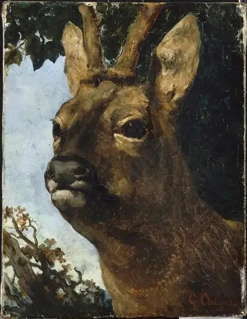 Cabeça de veado - Gustave Courbet