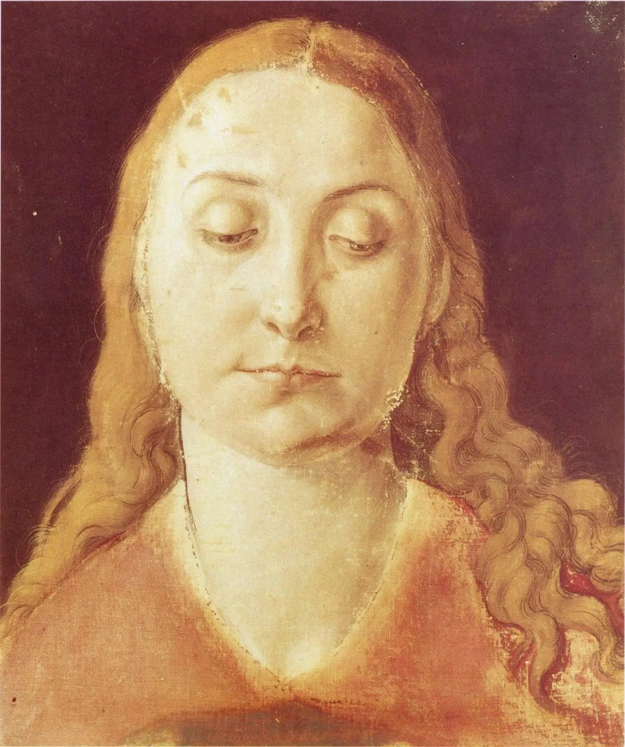 Cabeça de mulher - Albrecht Dürer